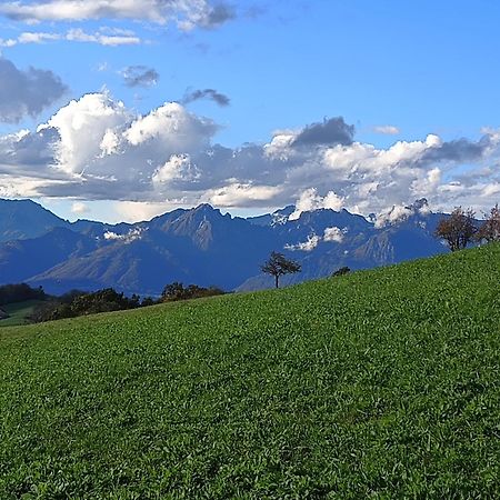 Agriturismo Fattoria Ortoalpino Trichiana Екстер'єр фото