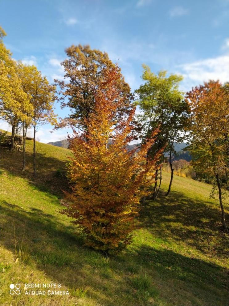 Agriturismo Fattoria Ortoalpino Trichiana Екстер'єр фото