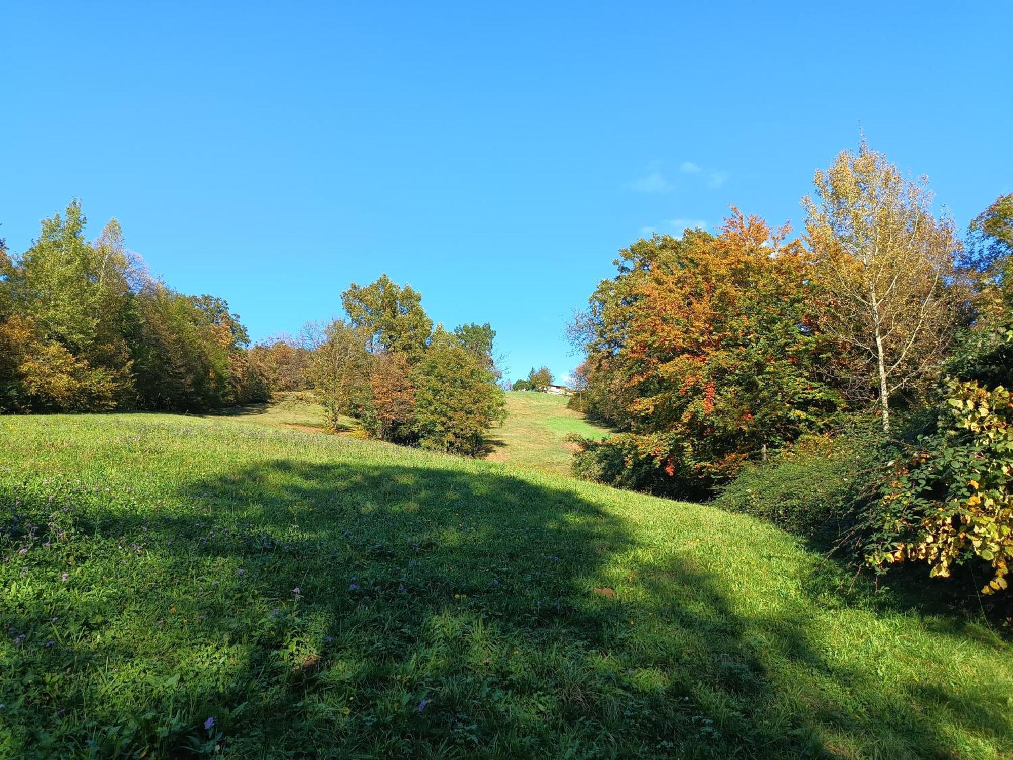 Agriturismo Fattoria Ortoalpino Trichiana Екстер'єр фото