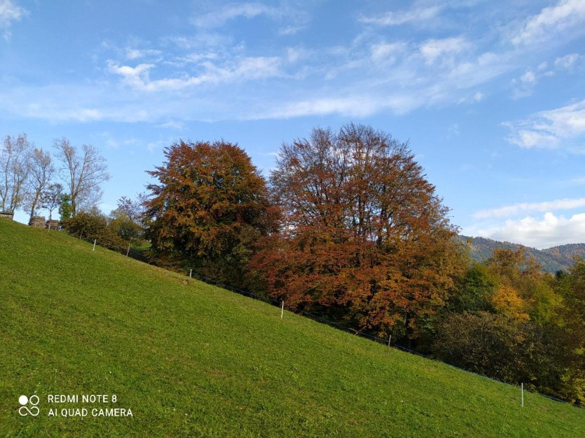 Agriturismo Fattoria Ortoalpino Trichiana Екстер'єр фото