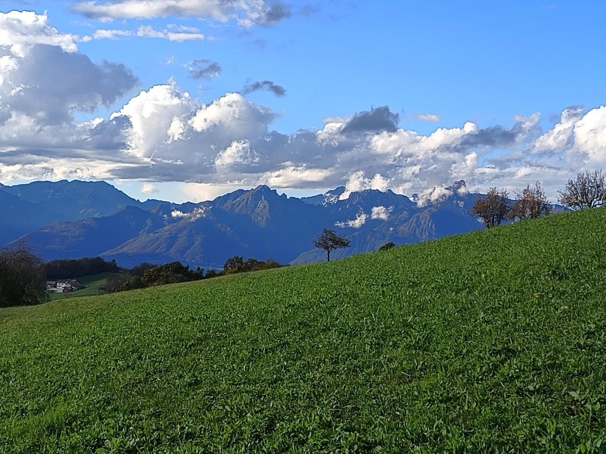 Agriturismo Fattoria Ortoalpino Trichiana Екстер'єр фото