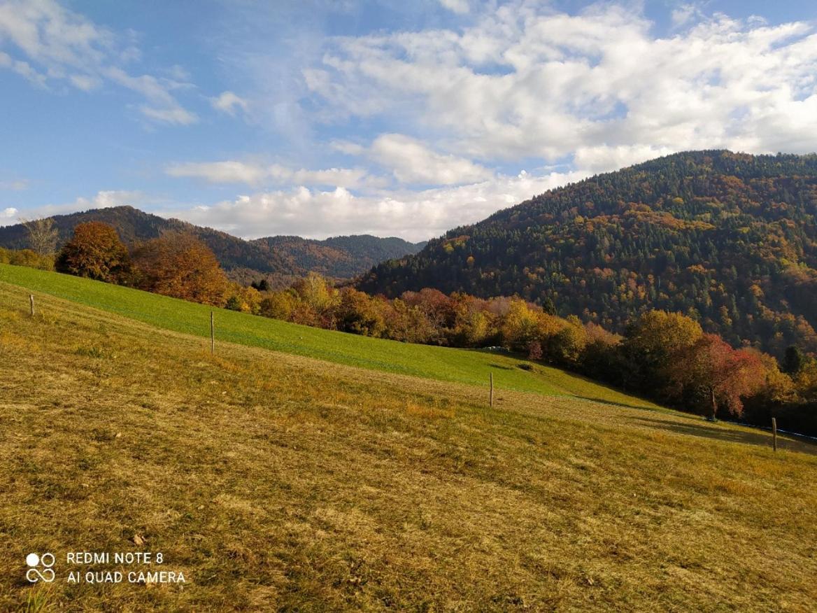 Agriturismo Fattoria Ortoalpino Trichiana Екстер'єр фото