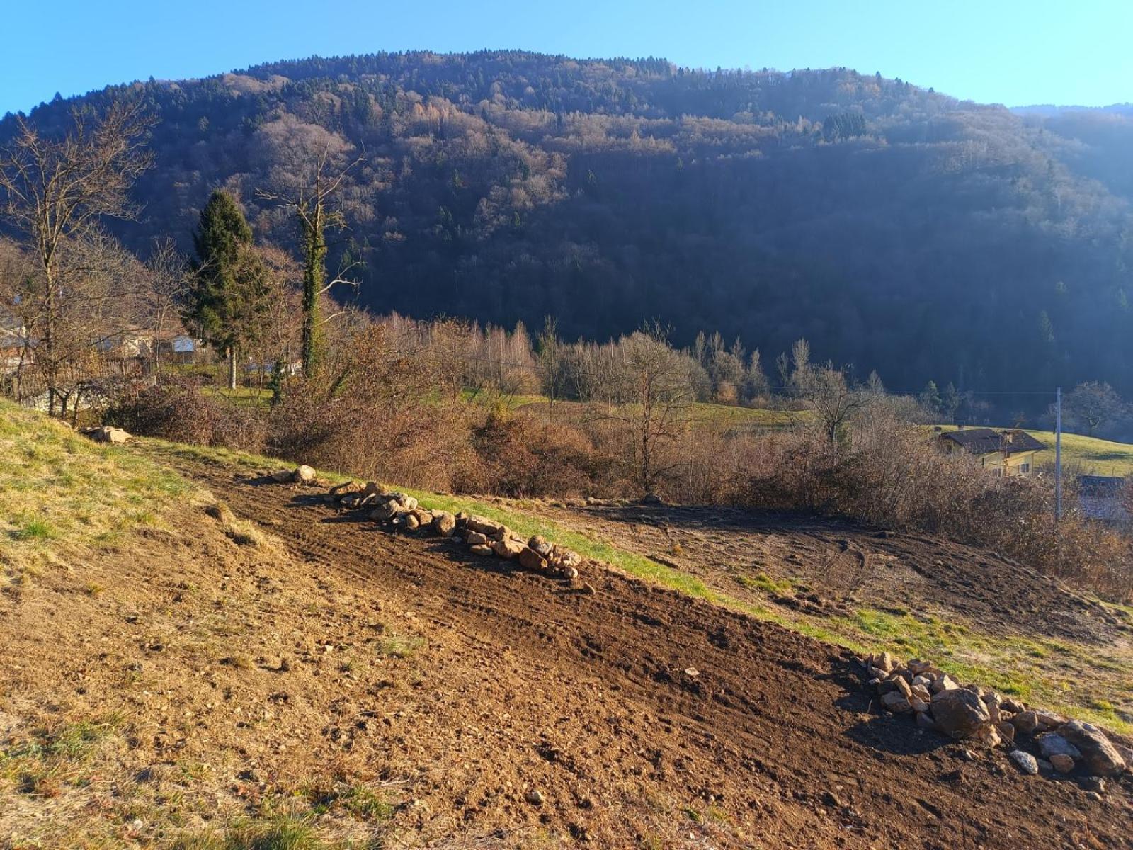 Agriturismo Fattoria Ortoalpino Trichiana Екстер'єр фото