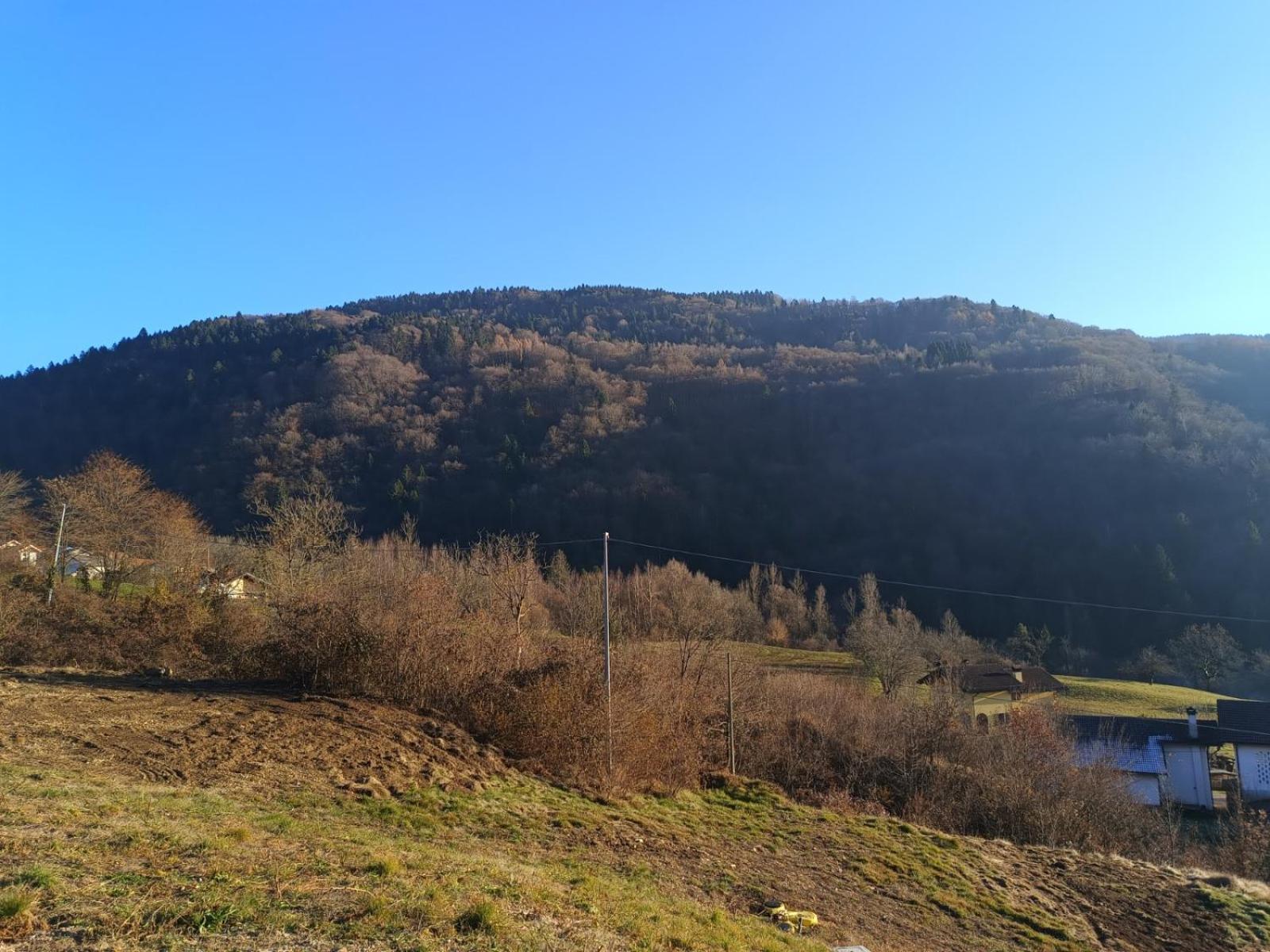 Agriturismo Fattoria Ortoalpino Trichiana Екстер'єр фото