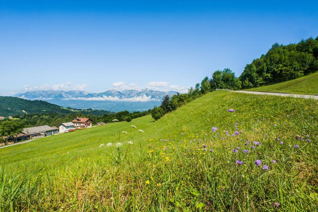 Agriturismo Fattoria Ortoalpino Trichiana Екстер'єр фото