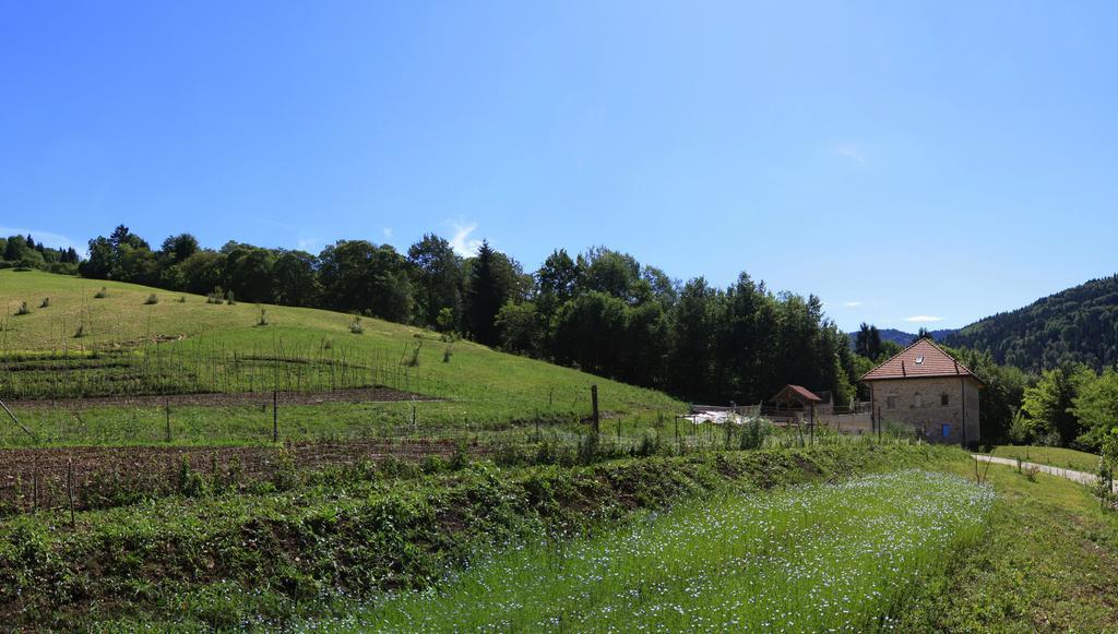 Agriturismo Fattoria Ortoalpino Trichiana Екстер'єр фото
